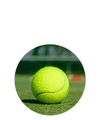 动影与各大网站合作推出公平免费的细分检索排名，鼓励更好的影视创意产生